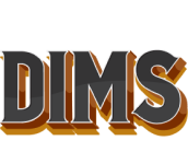 DIMS Construye
